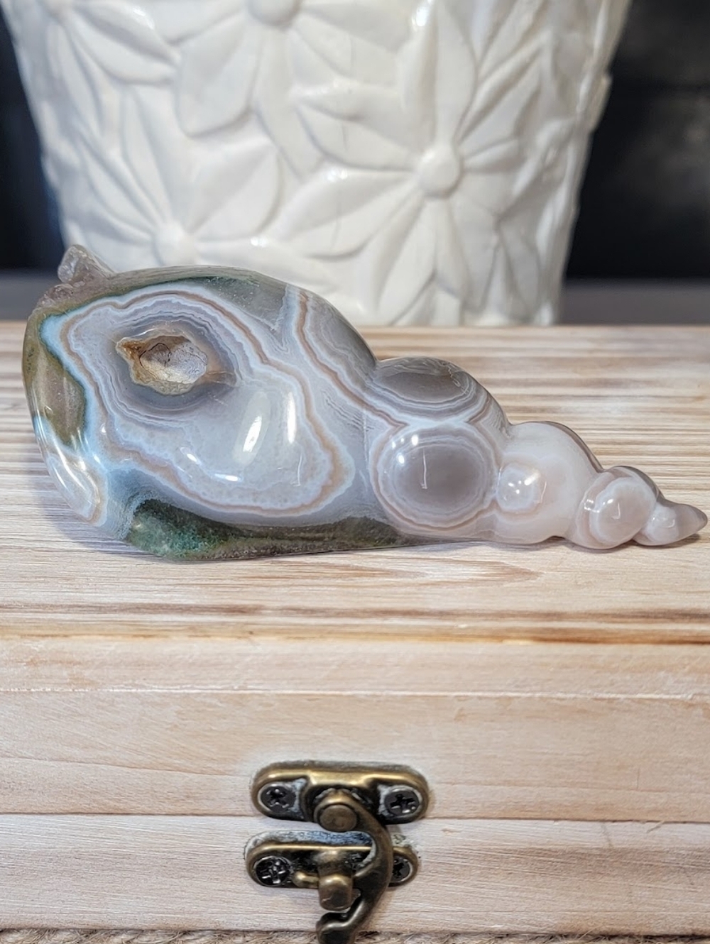 NEW 3.81" AGATE SHELL WITH MOSS & AMETHYST